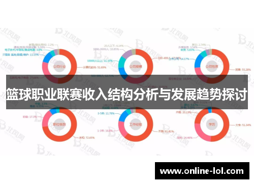篮球职业联赛收入结构分析与发展趋势探讨